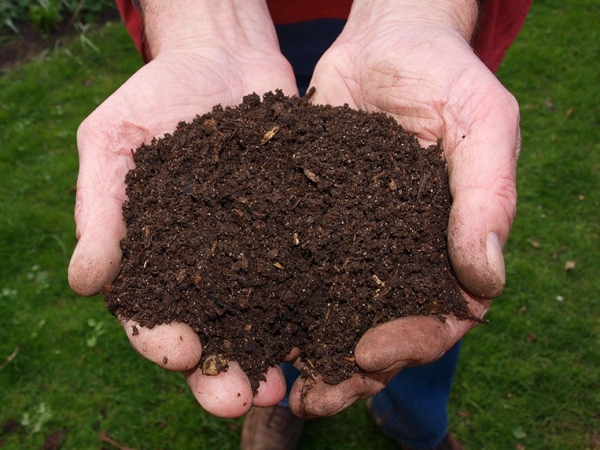 Cultivating Life in the Soil