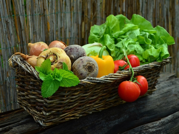 Benefits of Vegetarianism and Veganism